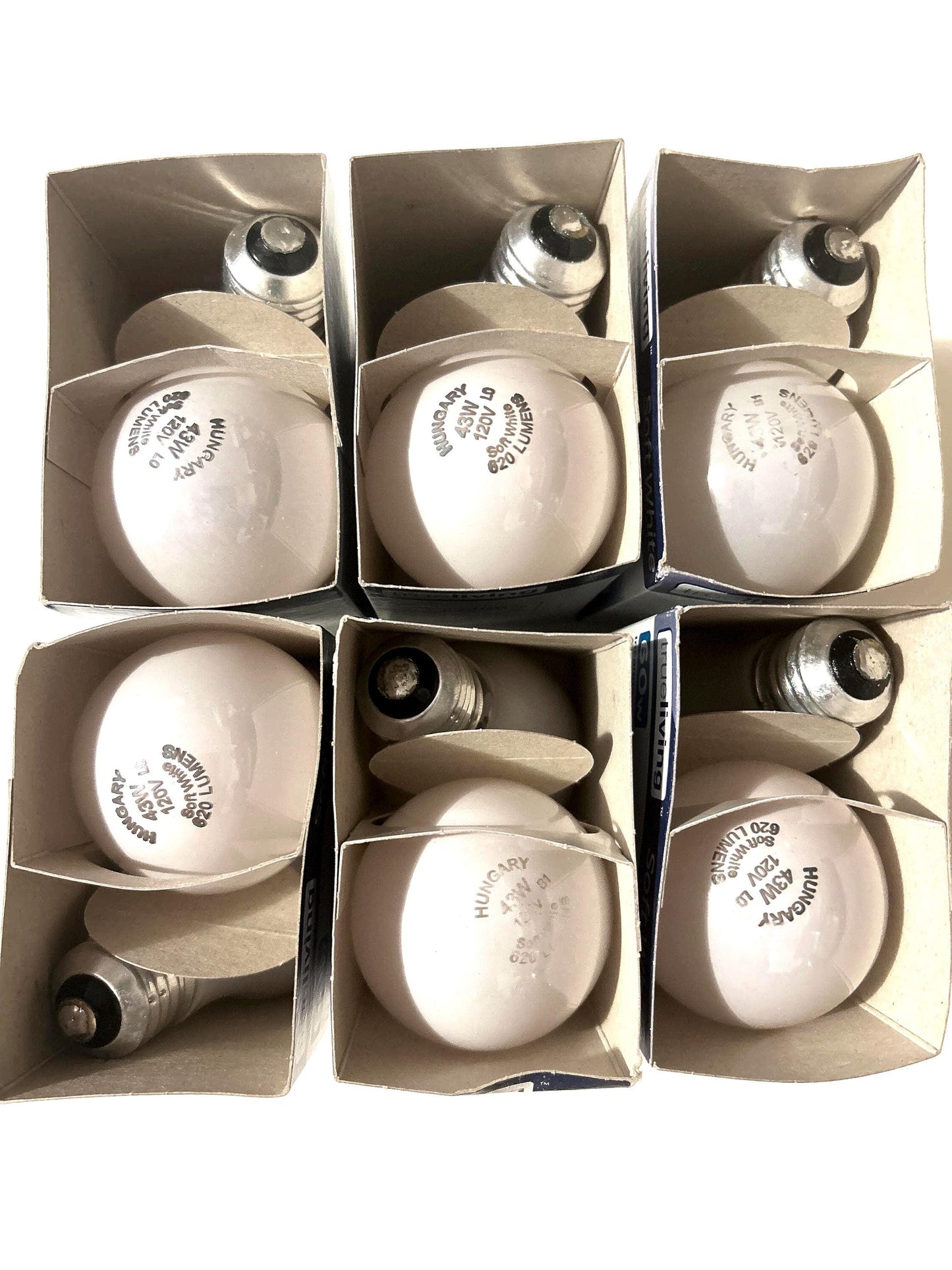 60-Watt Soft White Light Bulbs: Dimmable A19, 620 Lumens (12-Pack)